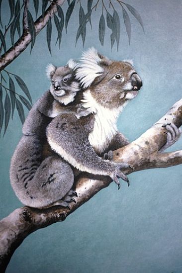 Unique Australians - Koala  by Pat Watson