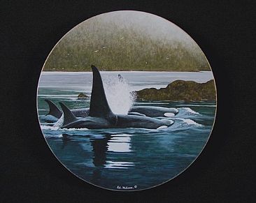 Pod on the Move - Orca's (Killer whales) by Pat Watson