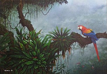 Misty Morning - Scarlet macaw  by Pat Watson