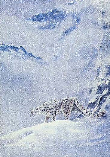 Mountain Retreat - Snow leopard by Pat Watson