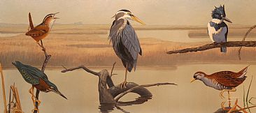 2010 Audubon Wildlife Conservation Stamps - 5 different North American bird species by Raymond Easton