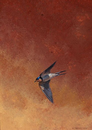 Barnstorm - Barn swallow by Raymond Easton