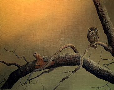 The Gloaming - Eastern screech owl by Raymond Easton