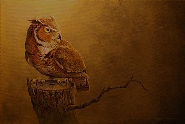 Stumped - Great horned owl by Raymond Easton