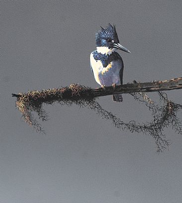 The King and His Lair - detail - Belted kingfisher by Raymond Easton