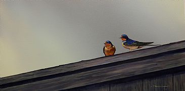 Up on a Roof - Barn swallows by Raymond Easton