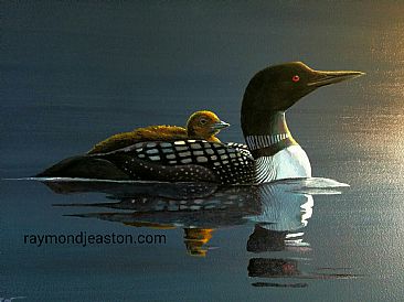 Morning Commute - Loons by Raymond Easton