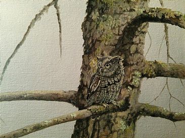 Out of The Woodwork - Eastern Screech Owl by Raymond Easton