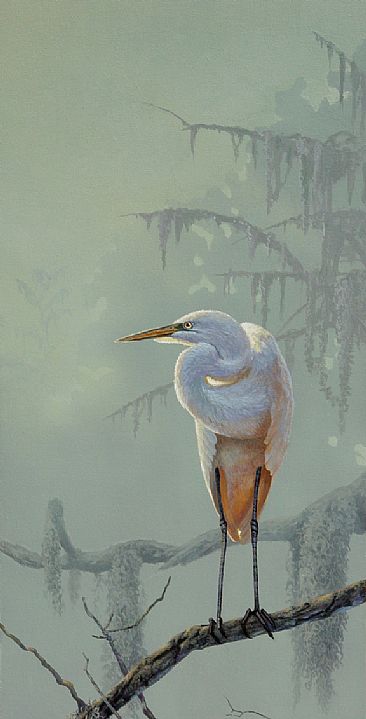 Phantom of the Glades - Great Egret by Raymond Easton