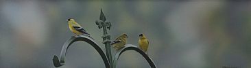 April's Pallette - American goldfinch by Raymond Easton