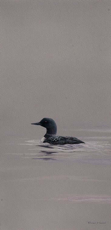 6 a.m. - Common loon by Raymond Easton