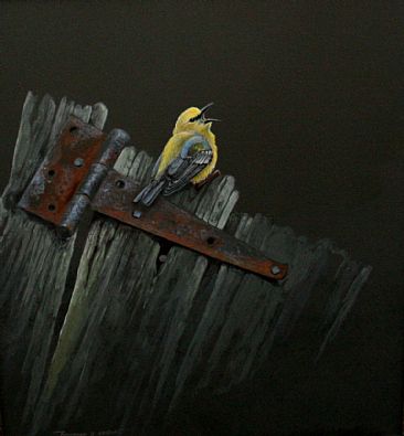 Garden Gate - Blue-winged warbler by Raymond Easton