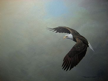 Patch of Blue - Bald eagle by Raymond Easton
