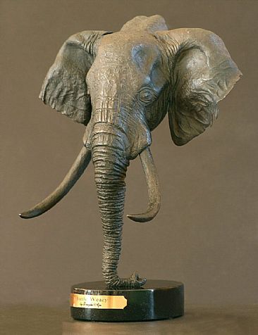 Battle Weary - African Elephant by Douglas Aja