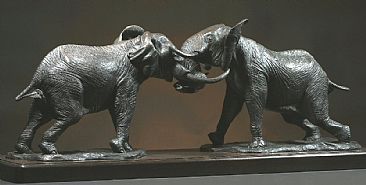 Locked In Battle - African Elephant by Douglas Aja