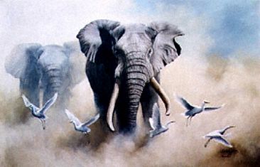 Mandleve - Elephants by Graham Jahme