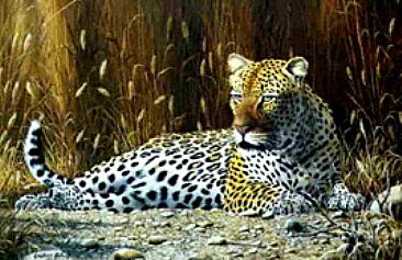 Mampara - Leopard by Graham Jahme