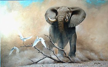Sumuka - Elephant by Graham Jahme