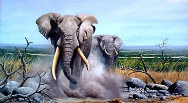 dust bath - elephants by Graham Jahme