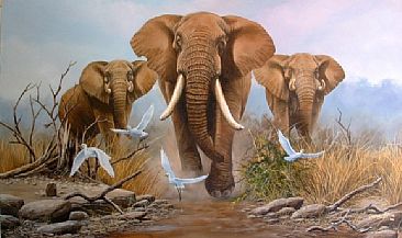 Elephant Trail - big tusker by Graham Jahme