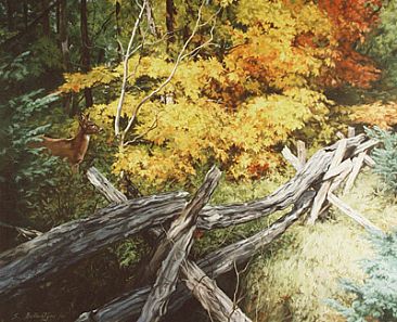 Autumn Splendor - Landscape/White-tailed Deer by Sheila Ballantyne