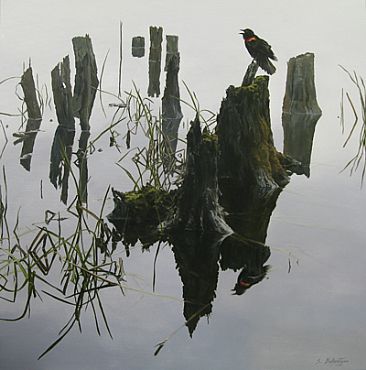 Red-wing - Red-winged Blackbird by Sheila Ballantyne