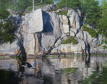 Tomahawk Rock - Wildlife by Sheila Ballantyne