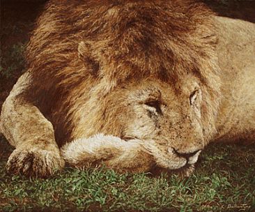 The Weary Warrior - Lion by Sheila Ballantyne