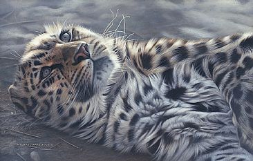A Perfect World - Amur Leopard - Amur Leopard - Original Acrylic Painting has been sold. Limited edition canvas giclée print is avilable for $375.00 framed. by Michael Pape