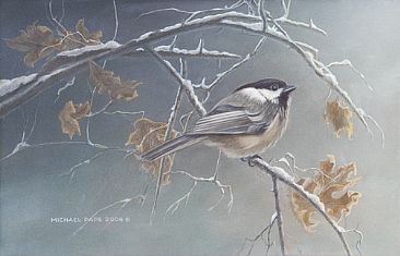 Chickadee - Limited edition giclée canvas print of Chickadee is available for $325.00 framed. Image size of print is  by Michael Pape