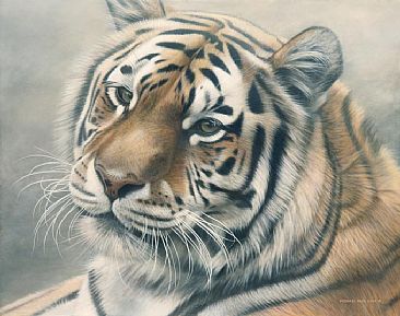 Siberian Mist - Siberian (Amur) Tiger -  Limited edition canvas giclée print of Siberian Mist is avilable for $399.00 framed. Image size of print is 11.5 x 18. Image size of original is  by Michael Pape