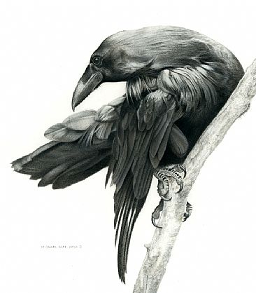 Raven Study - Raven Study - Original Acrylic Painting has been sold. Limited edition canvas giclée print is avilable for $399.00 framed. by Michael Pape