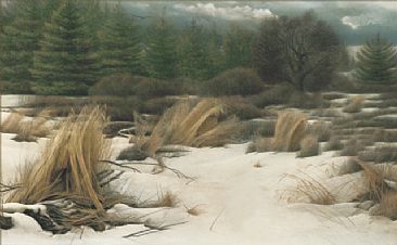 Transition - Winter Field by Michael Pape