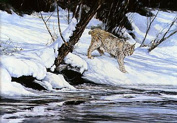 Lynx by the Silvercreek - Lynx by Bo Lundwall