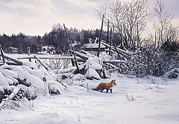 Red Fox at the Village - Red Fox by Bo Lundwall
