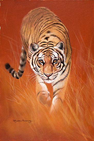On the Prowl - Tiger by Pollyanna Pickering