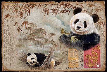 Study of a Giant Panda - Giant Panda by Pollyanna Pickering