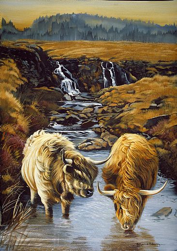 The Highlanders - Highland Cows by Pollyanna Pickering