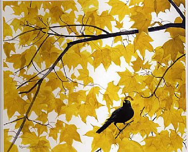 Autumn Gold - Blackbird by Pollyanna Pickering