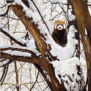 Fragile World - Red Panda by Pollyanna Pickering