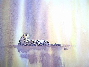 Duma - Cheetah by Alison Nicholls