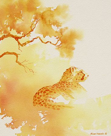 Noon - Cheetah by Alison Nicholls
