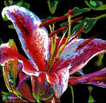 Bliss - Garden Lily by Karin Snoots