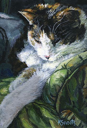 My Muse - Calico Kitten by Karin Snoots