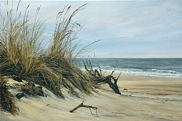 Untouched, but for how long? - Ocean Dune by Karin Snoots