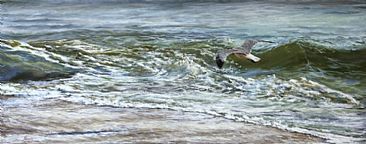 Free Bird - Atlantic Shoreline & Sea Gull by Karin Snoots