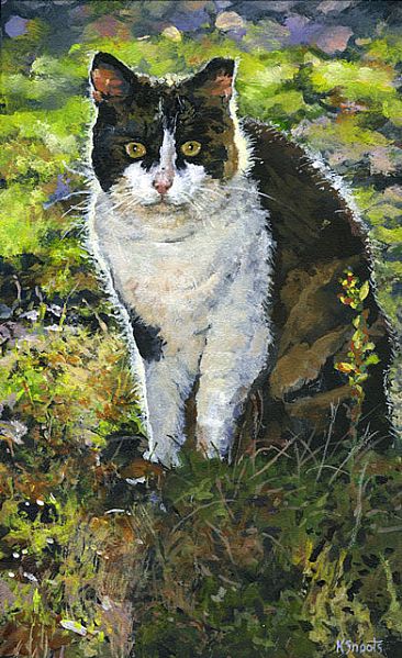 Take Me Home - Feral Female Cat by Karin Snoots