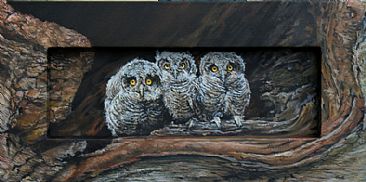 Three Amigos - Young Barn Owls by Karin Snoots