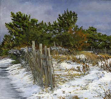 Winter Solstice - Surf Avenue, Rehoboth Beach by Karin Snoots