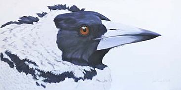 Magpie Menace - Australian Magpie by Pete Marshall